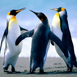 test4