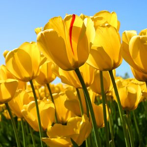 test22